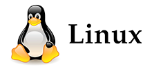 Our Partner